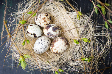 Similar image 12694952