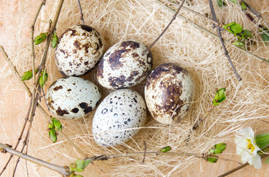 Similar image 12694953