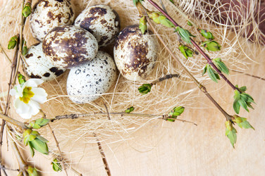 Similar image 12694954