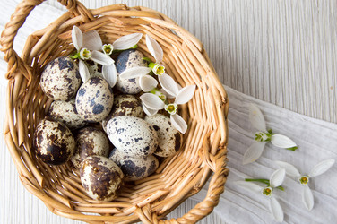 Similar image 12694966