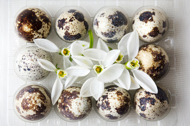 Similar image 12694967