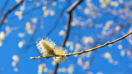 Similar image 12693273