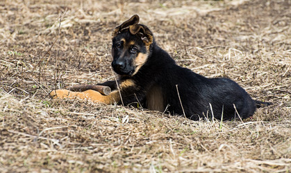 Similar image 12978247