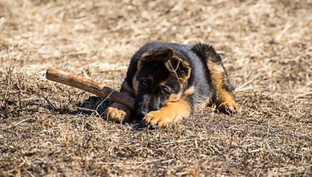 Similar image 12978249