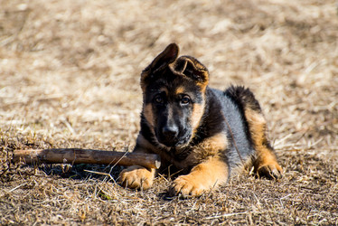 Similar image 12978250