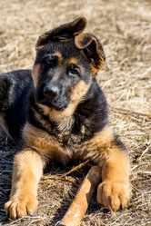 Similar image 12978255