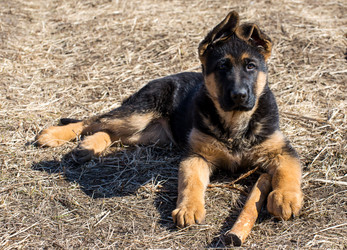 Similar image 12978256