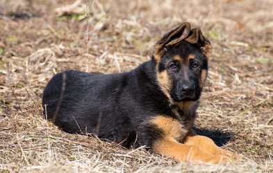 Similar image 12977937