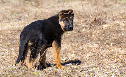 Similar image 12977938