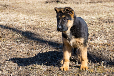 Similar image 12977940