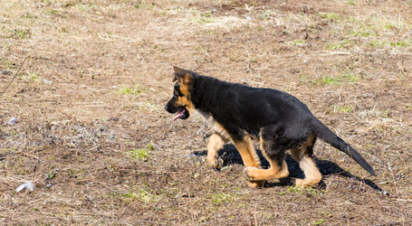 Similar image 12977943