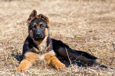 Similar image 12977948