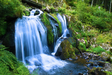 Similar image 12698089