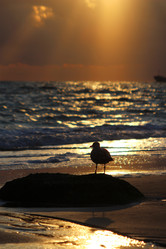 Similar image 12698090