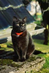 Similar image 12698092