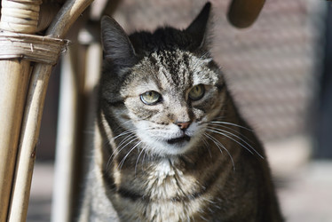 Similar image 12698093