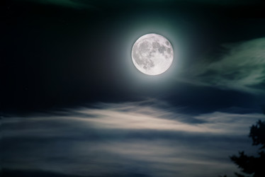 Similar image 12698094