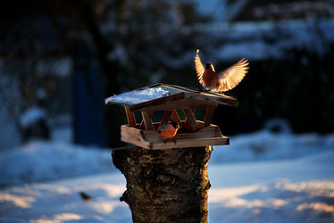 Similar image 12698099