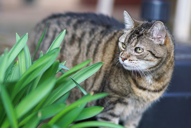 Similar image 12698101