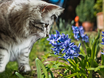 Similar image 12698102