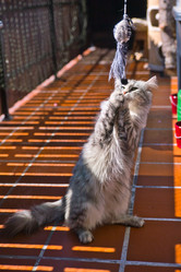 Similar image 12698104