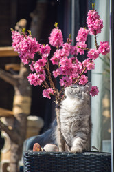 Similar image 12698105