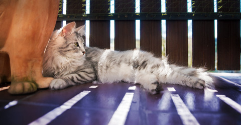 Similar image 12698106