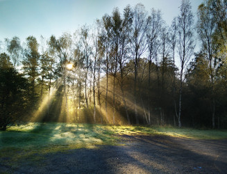 Similar image 12698128