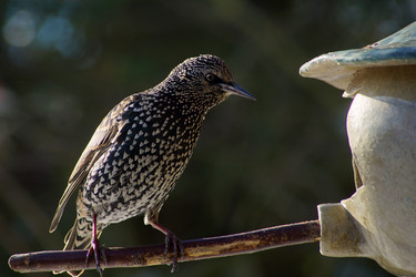 Similar image 12698156