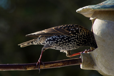 Similar image 12698865