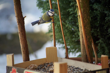 Similar image 12698867