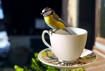 Similar image 12698877