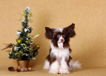 Similar image 12977507