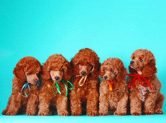 Similar image 12977508