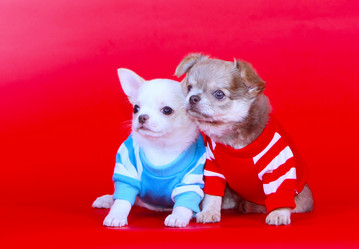 Similar image 12977565