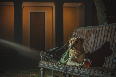 Similar image 12697904