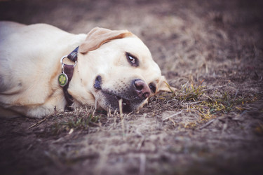 Similar image 12697905