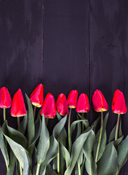 Similar image 12983216