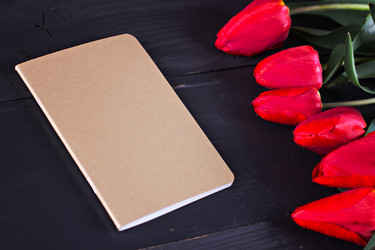 Similar image 12983217