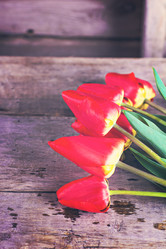 Similar image 12983222