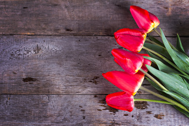 Similar image 12983223