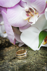 Similar image 12983060