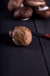 Similar image 12983073