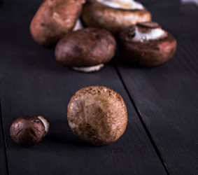 Similar image 12983074