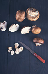 Similar image 12983079