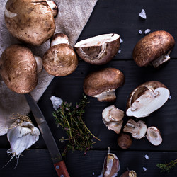 Similar image 12983091