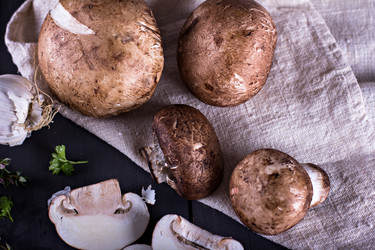 Similar image 12983118