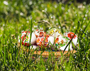 Similar image 12978559