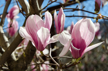 Similar image 12978561