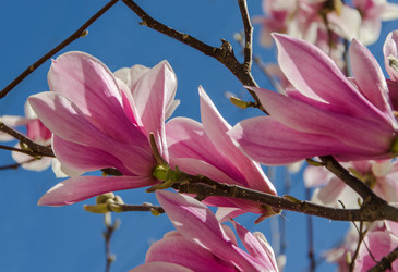 Similar image 12978562